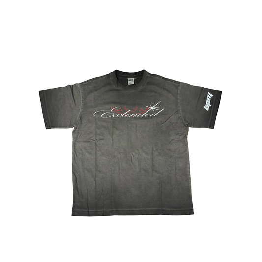 Extended Vitals T-shirt Grey