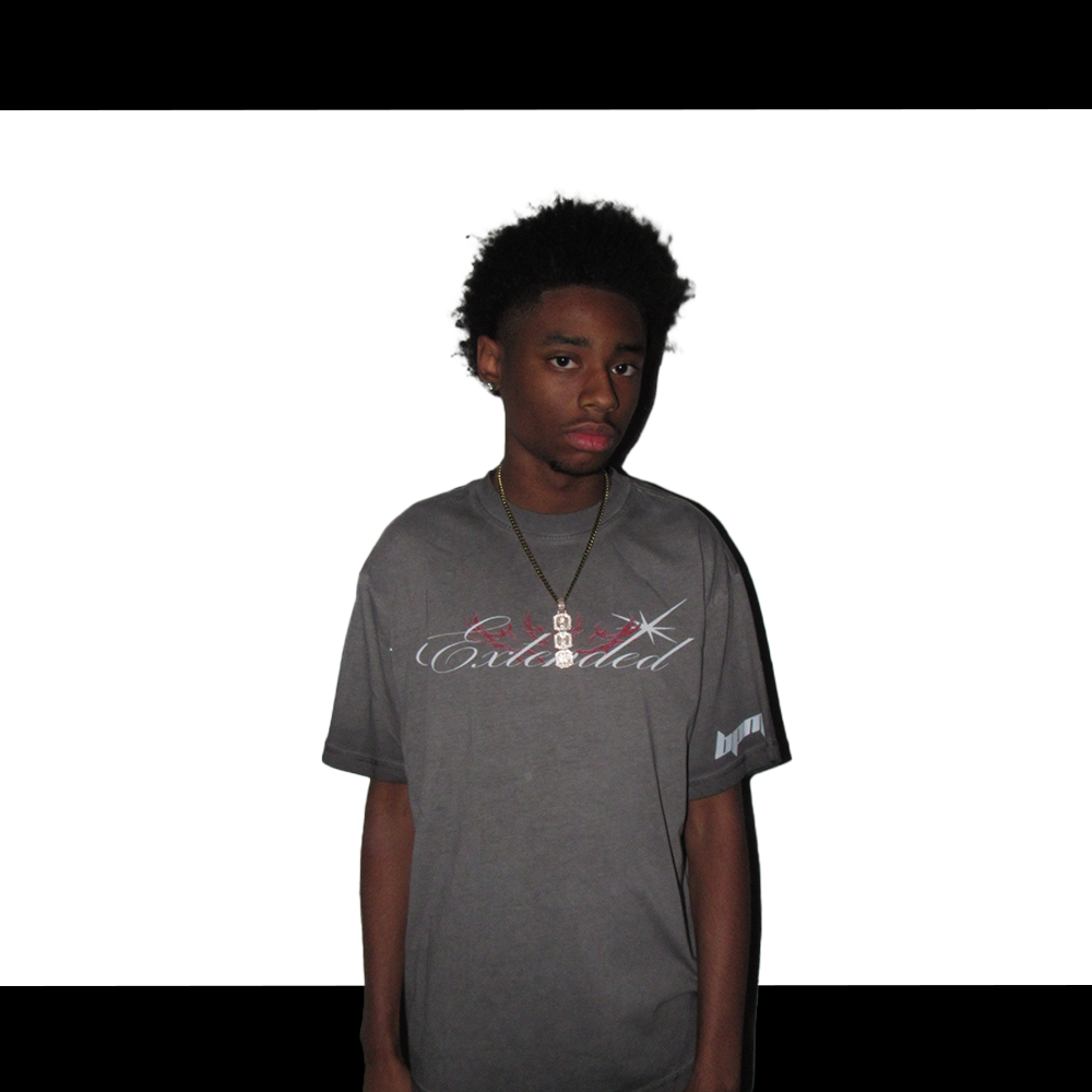 Extended Vitals T-shirt Grey